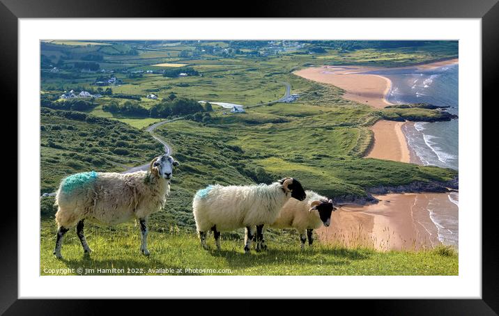 Ballymastocker beach Donegal Framed Mounted Print by jim Hamilton