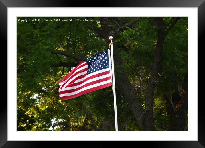 American Flags (5A1) Framed Mounted Print by Philip Lehman