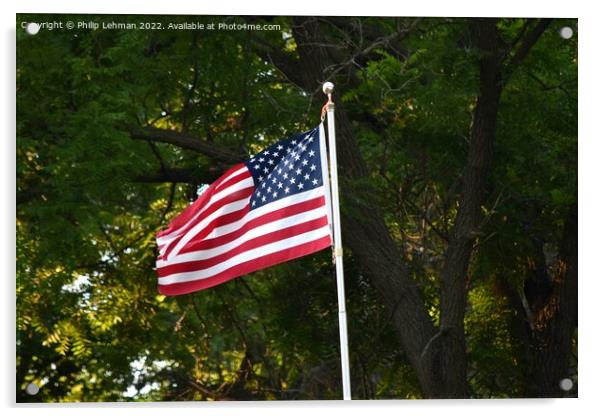 American Flags (5A1) Acrylic by Philip Lehman