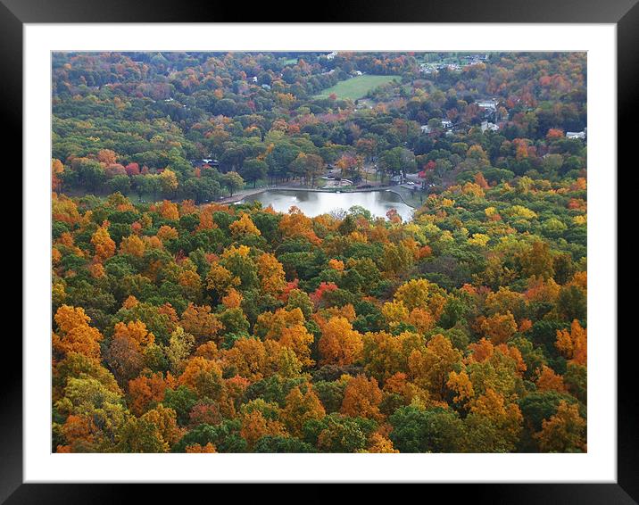 Autumn in Connecticut Framed Mounted Print by stacy pelc