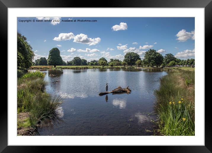 Pond near carpark Bushy Park Framed Mounted Print by Kevin White