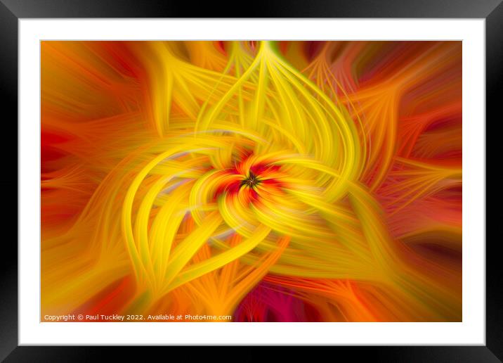 Abstract Lily Framed Mounted Print by Paul Tuckley