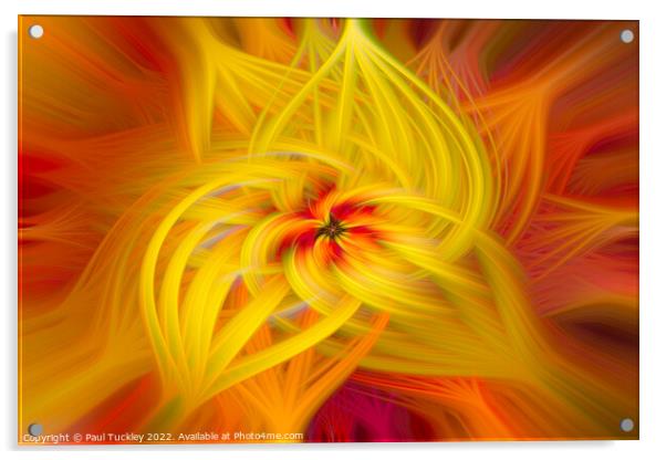 Abstract Lily Acrylic by Paul Tuckley