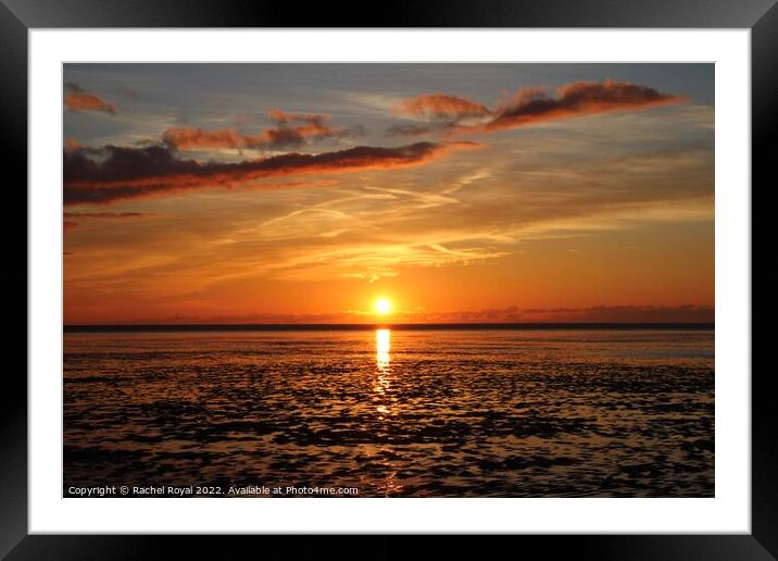 Sunset Afterglow Framed Mounted Print by Rachel Royal