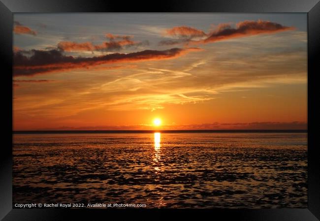 Sunset Afterglow Framed Print by Rachel Royal