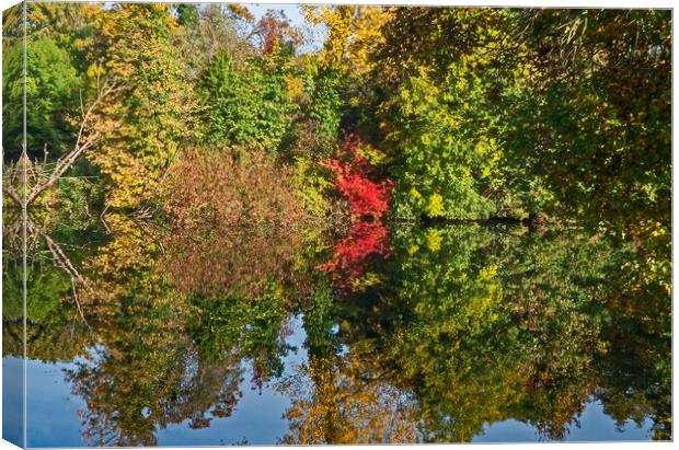 Autumn Reflections Canvas Print by Joyce Storey