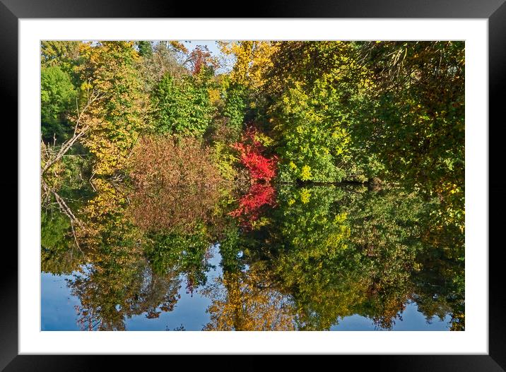 Autumn Reflections Framed Mounted Print by Joyce Storey