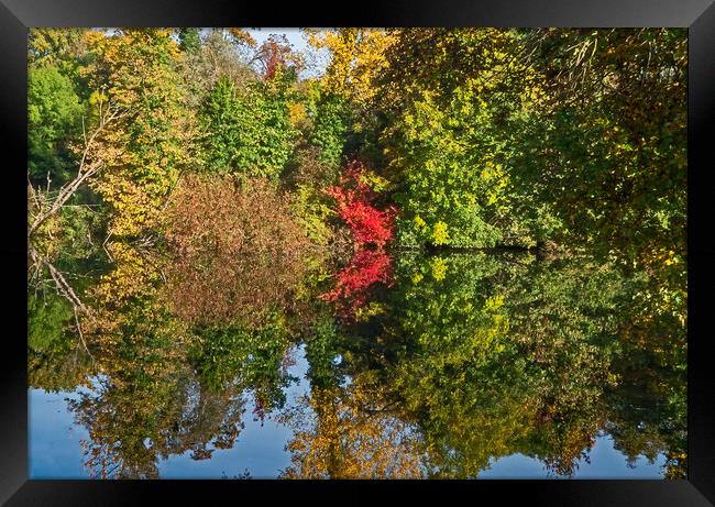 Autumn Reflections Framed Print by Joyce Storey