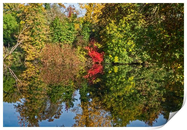 Autumn Reflections Print by Joyce Storey