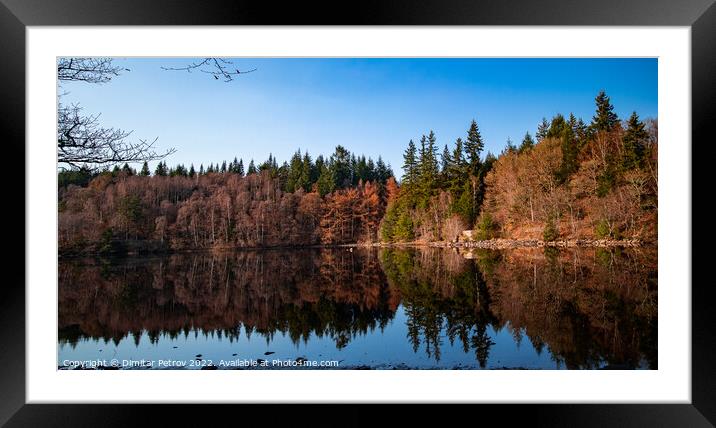 Reflections Framed Mounted Print by Dimitar Petrov