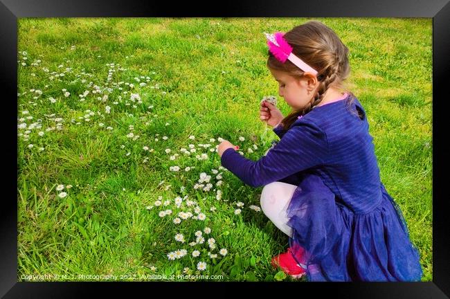 A little girl that is standing in the grass and picking flowers Framed Print by M. J. Photography