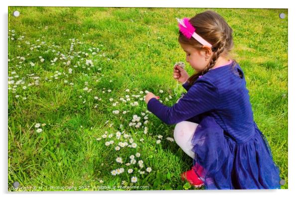 A little girl that is standing in the grass and picking flowers Acrylic by M. J. Photography