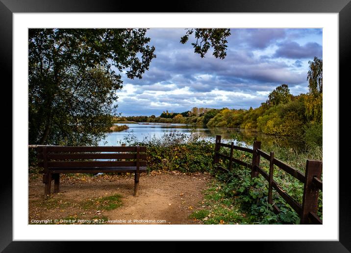 Relaxing afternoon by the pond Framed Mounted Print by Dimitar Petrov