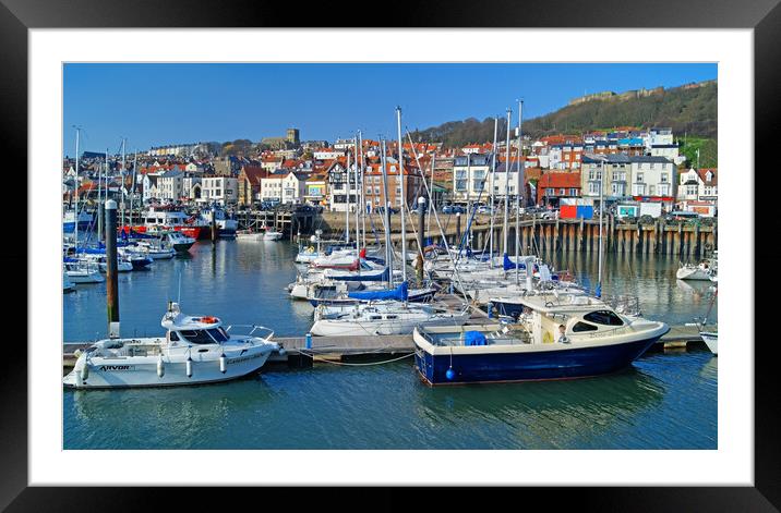 Scarborough Harbour and Old Town Framed Mounted Print by Darren Galpin
