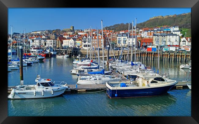 Scarborough Harbour and Old Town Framed Print by Darren Galpin