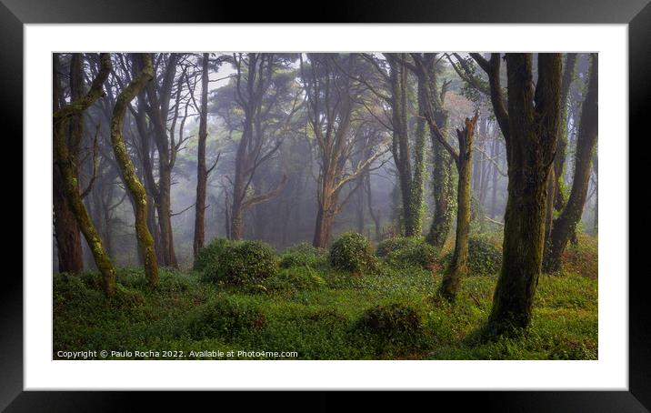 Forest scenery with fog Framed Mounted Print by Paulo Rocha