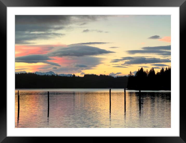 Puget Sound sunset with lovely pink and golden clouds including  Framed Mounted Print by Thomas Baker