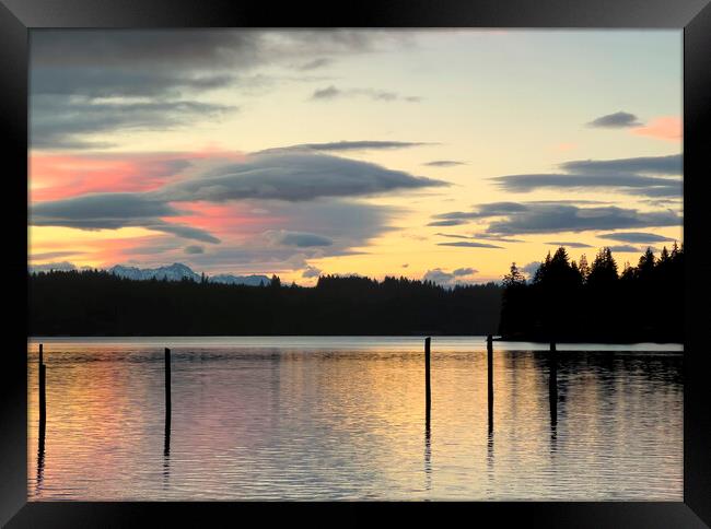 Puget Sound sunset with lovely pink and golden clouds including  Framed Print by Thomas Baker