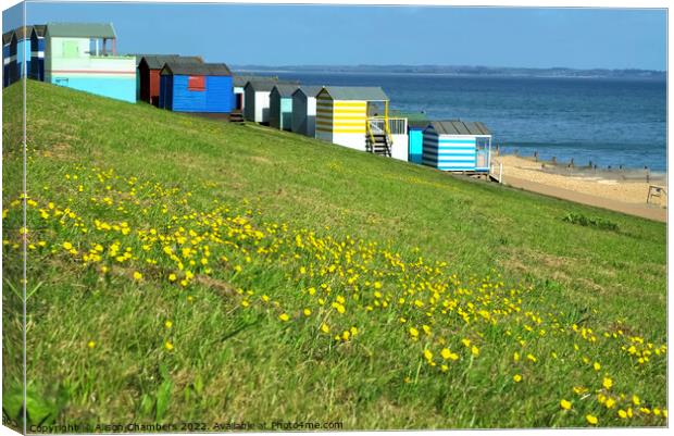 Tankerton Slopes Buttercups Canvas Print by Alison Chambers