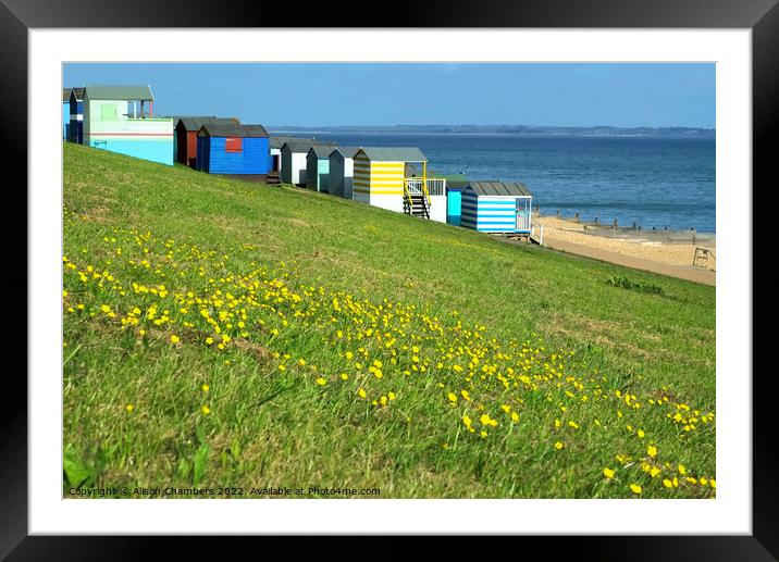 Tankerton Slopes Buttercups Framed Mounted Print by Alison Chambers