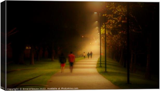 A Twilight Misty Walk in the Park Canvas Print by Errol D'Souza
