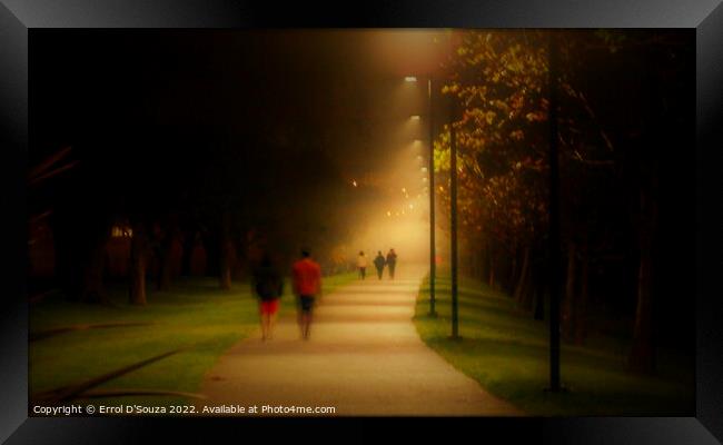 A Twilight Misty Walk in the Park Framed Print by Errol D'Souza