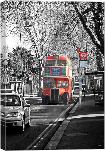 London RT Red Bus Canvas Print by Dawn O'Connor