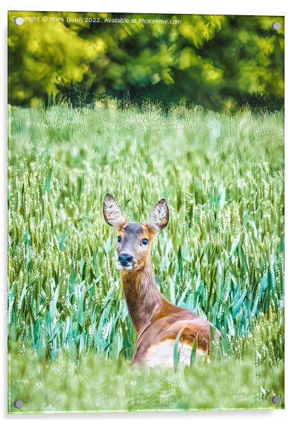 A Deer in a Corn Field Acrylic by Mark Dunn