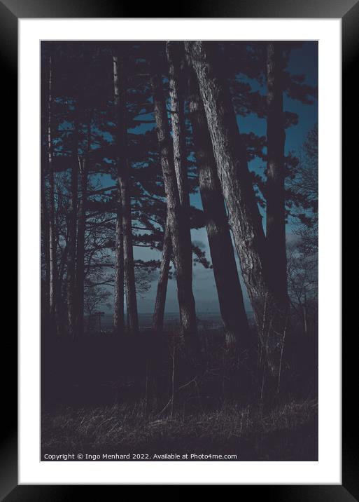Forest at night matte look Framed Mounted Print by Ingo Menhard