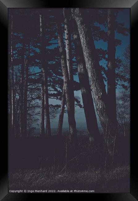 Forest at night matte look Framed Print by Ingo Menhard