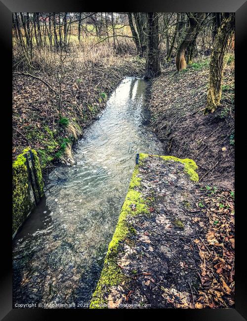 Beautiful shot of the nature on an autumnal forest Framed Print by Ingo Menhard