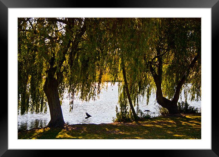 Danson Park Lake Framed Mounted Print by Dawn O'Connor