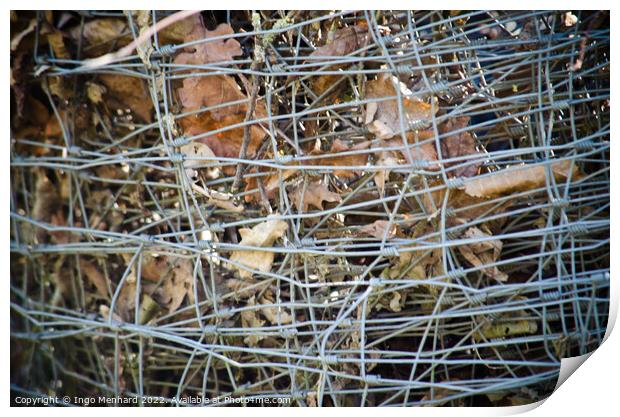 Closeup shot of an iron mesh fence with dry autumn leaves Print by Ingo Menhard