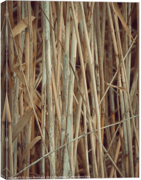 Vertical shot of dried twigs and branches, wood texture background Canvas Print by Ingo Menhard