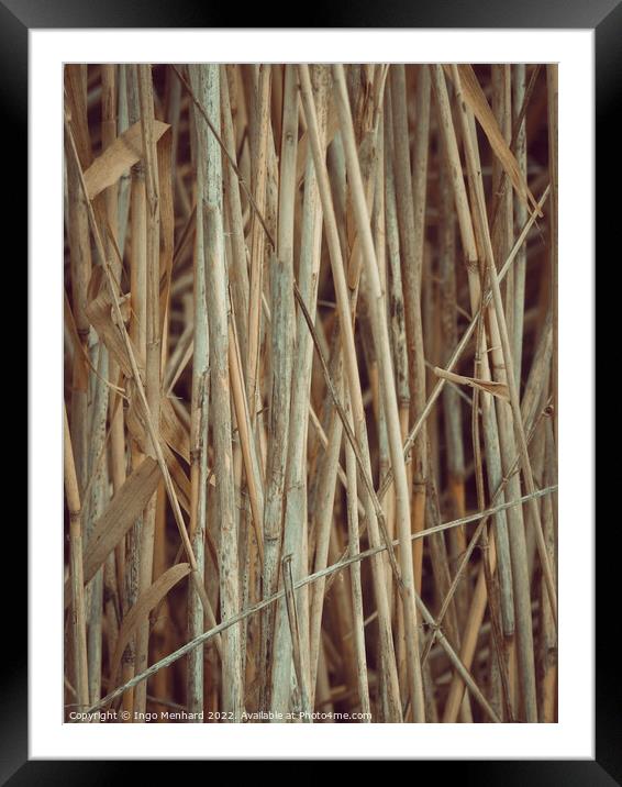 Vertical shot of dried twigs and branches, wood texture background Framed Mounted Print by Ingo Menhard
