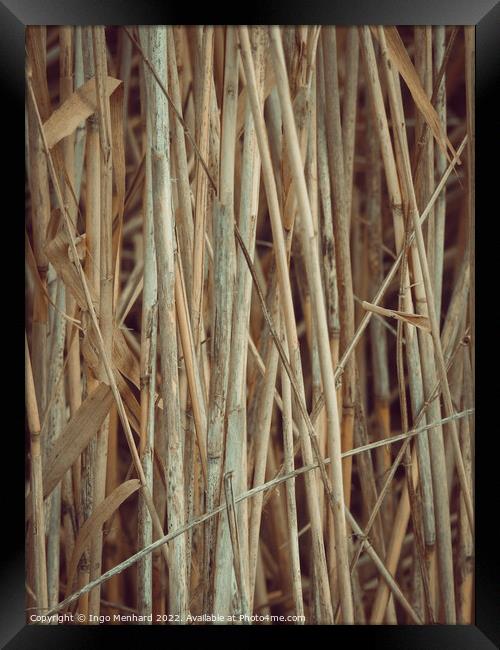 Vertical shot of dried twigs and branches, wood texture background Framed Print by Ingo Menhard