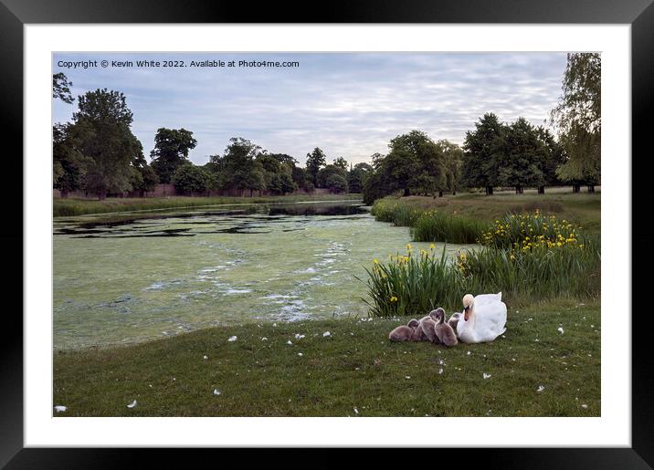 Hampton Wick pond in Home Park Framed Mounted Print by Kevin White