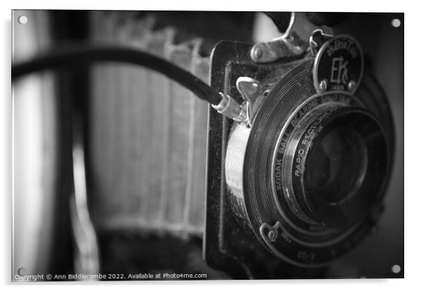 Vintage Kodak camera Acrylic by Ann Biddlecombe