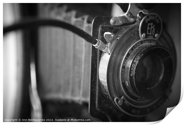 Vintage Kodak camera Print by Ann Biddlecombe