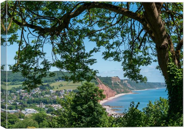 Sidmouth from peak Hill Canvas Print by Jo Sowden