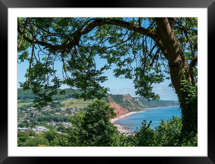 Sidmouth from peak Hill Framed Mounted Print by Jo Sowden