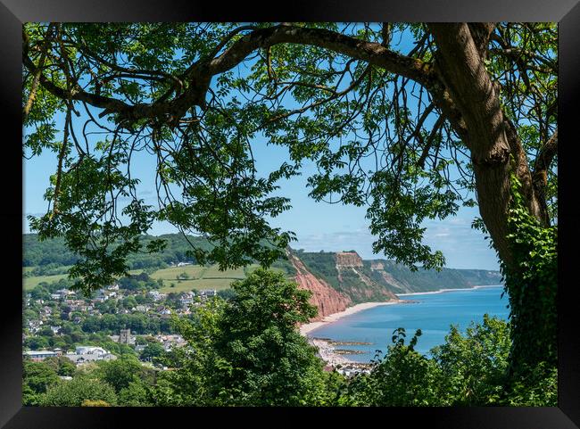 Sidmouth from peak Hill Framed Print by Jo Sowden