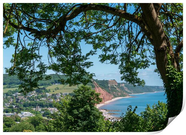 Sidmouth from peak Hill Print by Jo Sowden