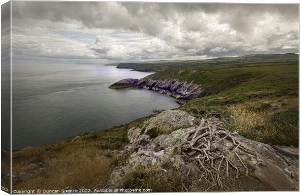 Strumble Head Point Canvas Print by Duncan Spence