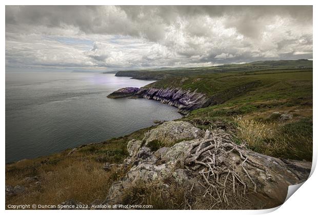 Strumble Head Point Print by Duncan Spence