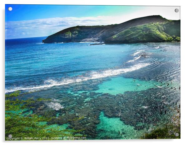 Coral Reefs Hanamu Bay Oahu Hawaii Acrylic by William Perry