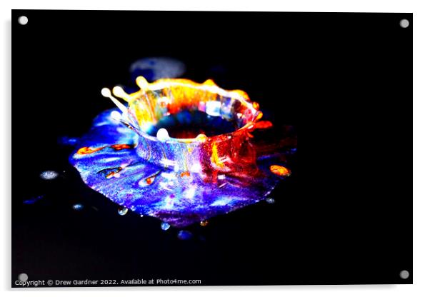 Multi coloured droplets Acrylic by Drew Gardner