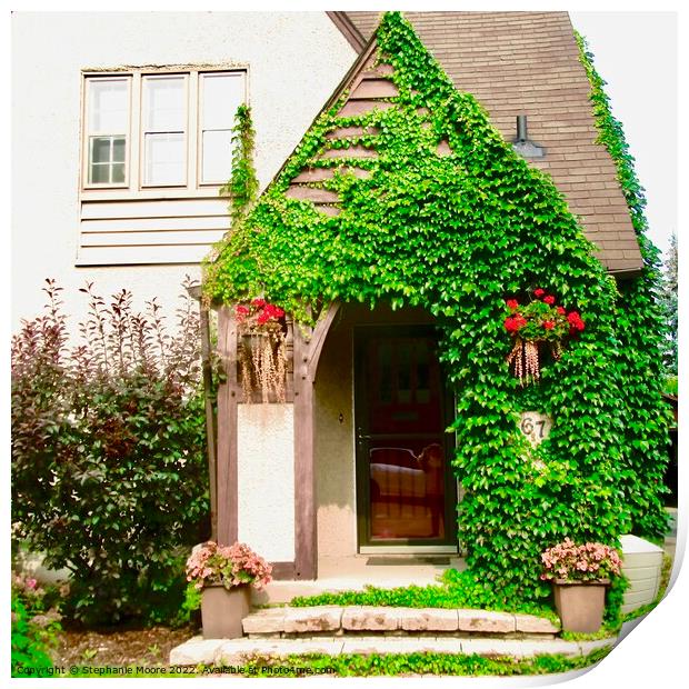 Ivy covered entrance Print by Stephanie Moore