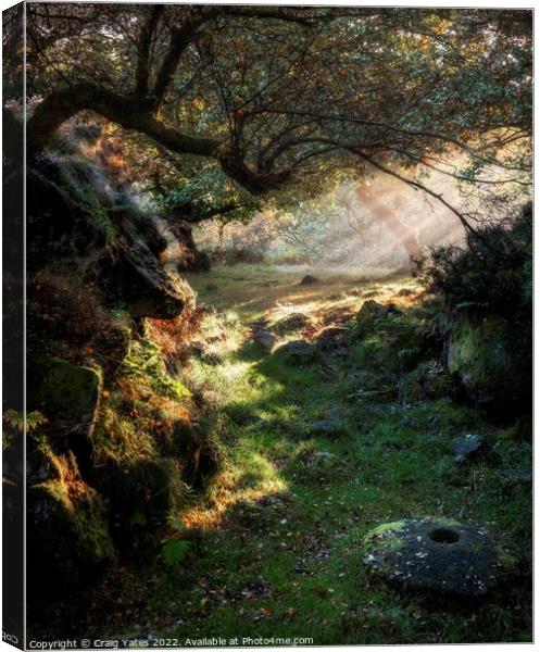 Padley Gorge Morning Light Canvas Print by Craig Yates