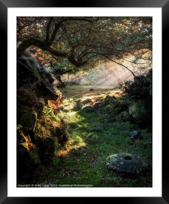 Padley Gorge Morning Light Framed Mounted Print by Craig Yates